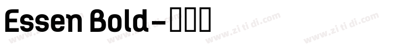Essen Bold字体转换